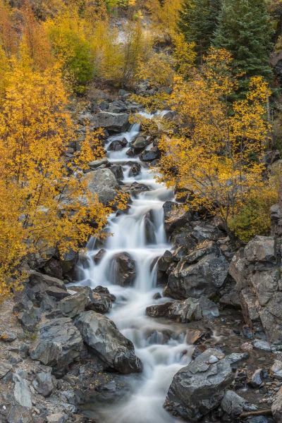 Colorado Cascading creek in San Juan Mountains